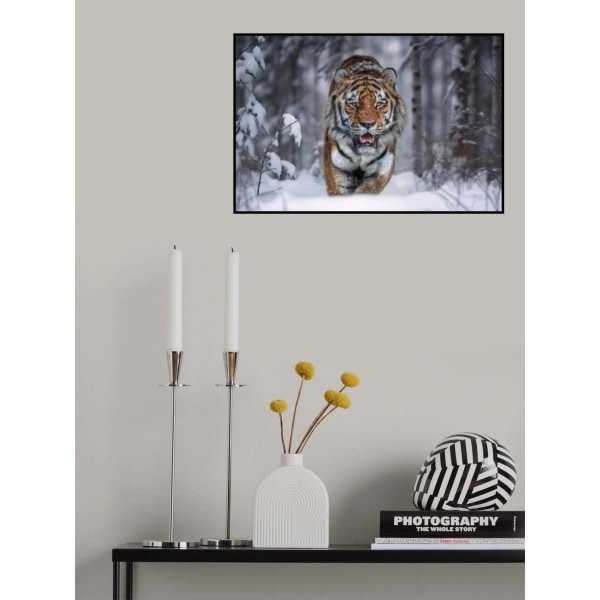 Snowtiger MultiColor 50x70 cm