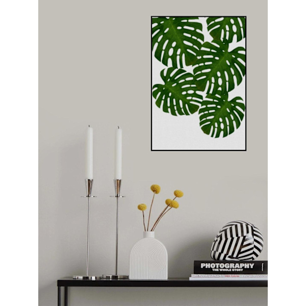 Monstera Leaf I MultiColor 70x100 cm
