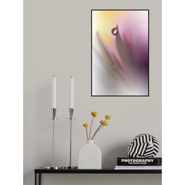 Abstract Illusion.. MultiColor 30x40 cm