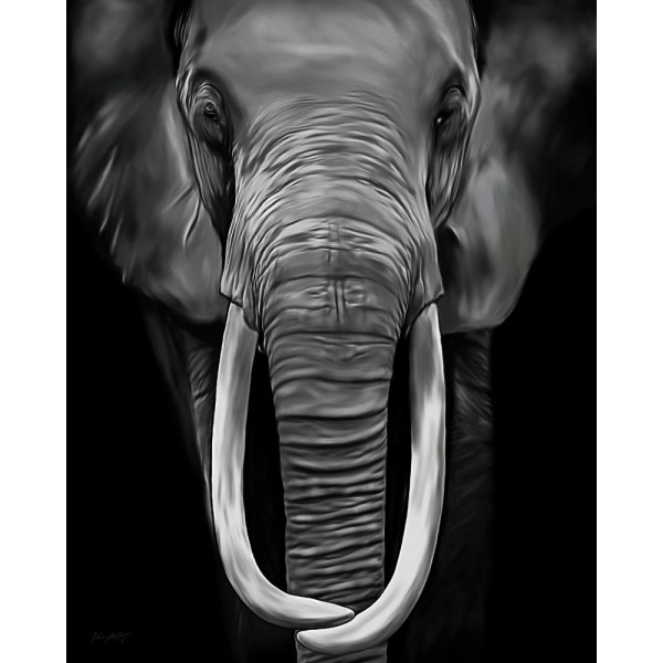 Loxodonta MultiColor 50x70 cm