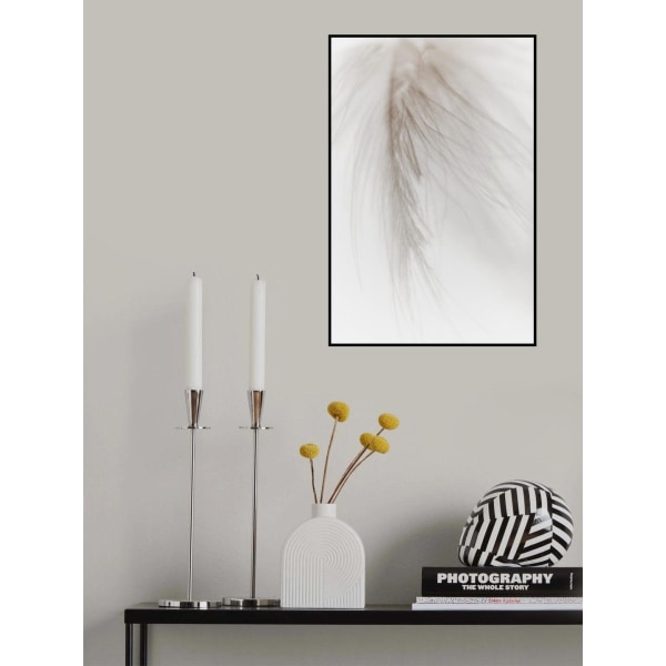 White Feather I MultiColor 70x100 cm