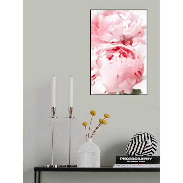 Bllush Peony X MultiColor 70x100 cm
