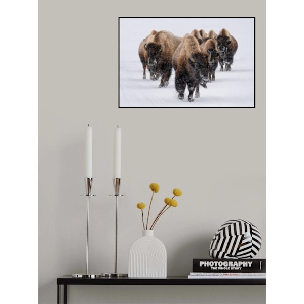 The Herd MultiColor 70x100 cm