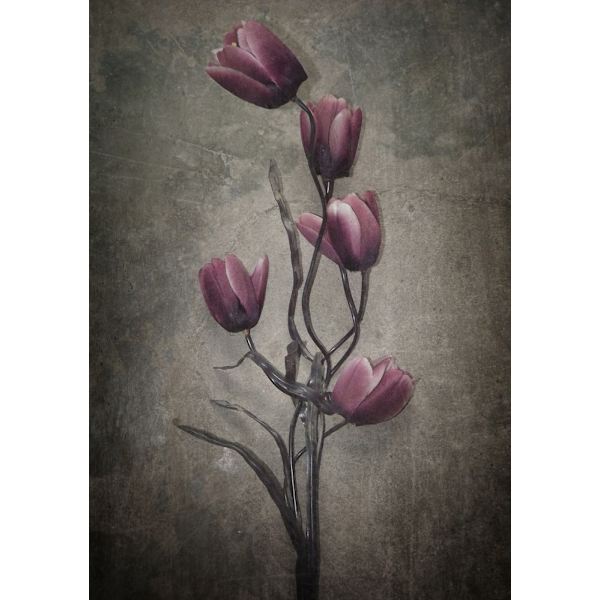 You Haven't Seen The Last Of Me MultiColor 50x70 cm