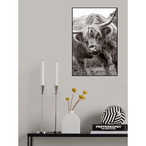 The Bull MultiColor 70x100 cm