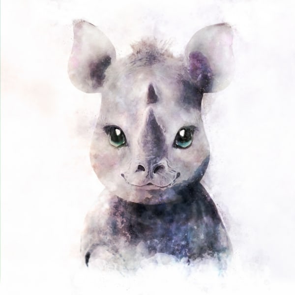 Baby Rhino MultiColor 50x70 cm