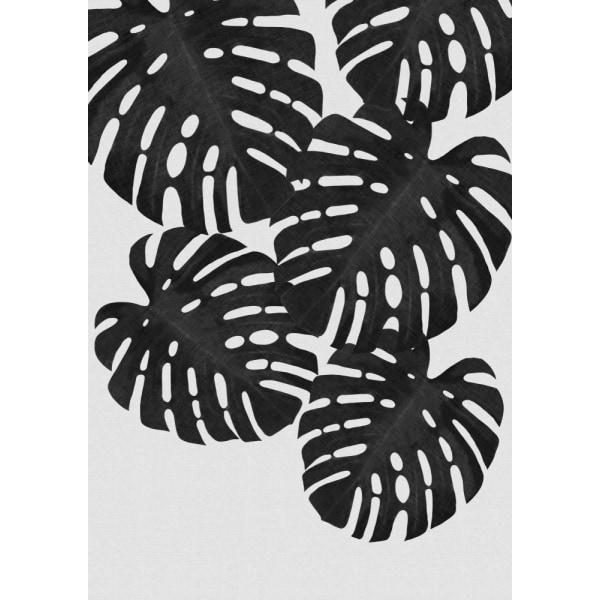 Monstera Leaf Black A White I MultiColor 30x40 cm