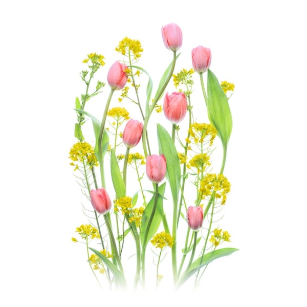 Bright Spring Flowers MultiColor 21x30 cm