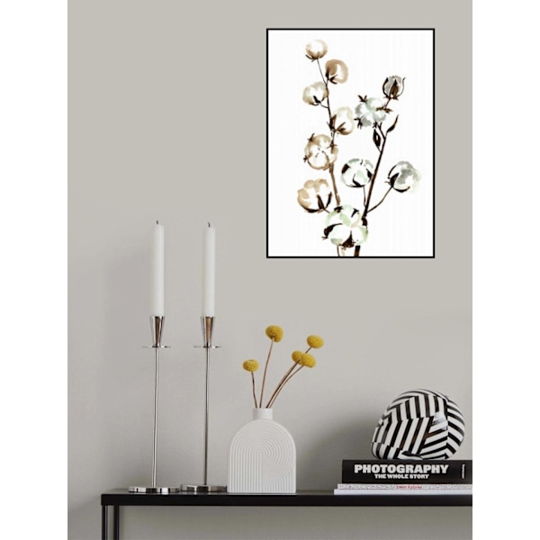 Watercolor Cotton Branch Ii MultiColor 21x30 cm