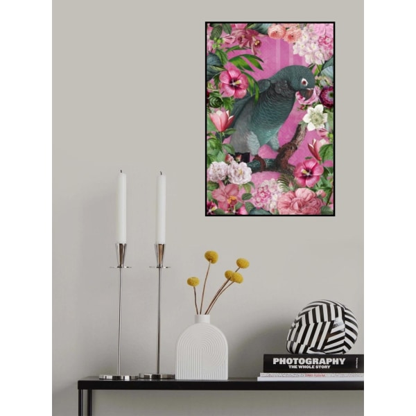 The Parrots Paradise Garden 3 MultiColor 50x70 cm