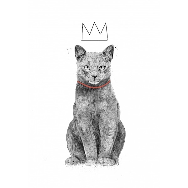 King Of Everything MultiColor 50x70 cm