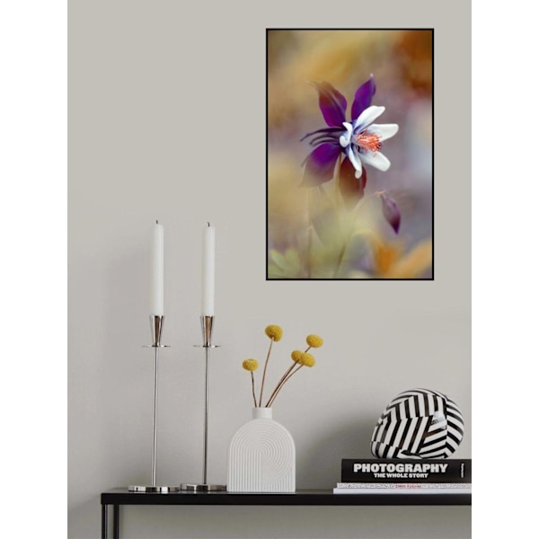 Columbine MultiColor 70x100 cm