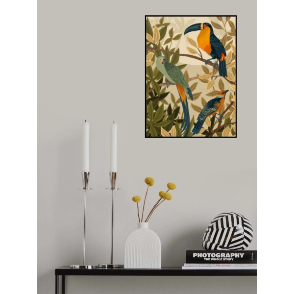 Paradise Birds MultiColor 21x30 cm