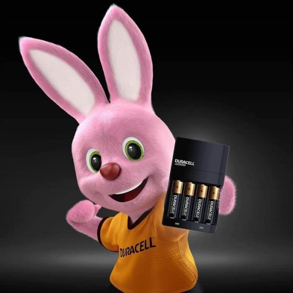 BATTERIER Duracell CEF14 4 timmars batteriladdare, med uppladdningsbara batterier ingår, AA + AAA20