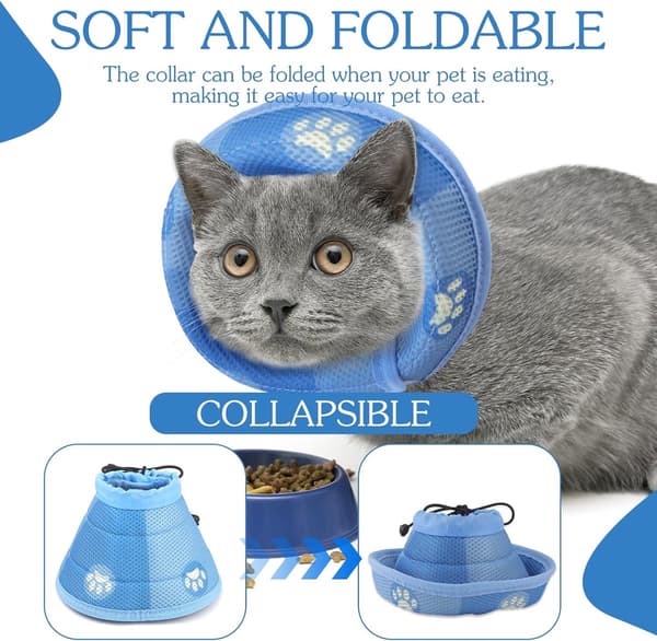 Kattkrage - Kattkrage - Kattkrage - Skyddskrage Katt - Blå - Vikbar