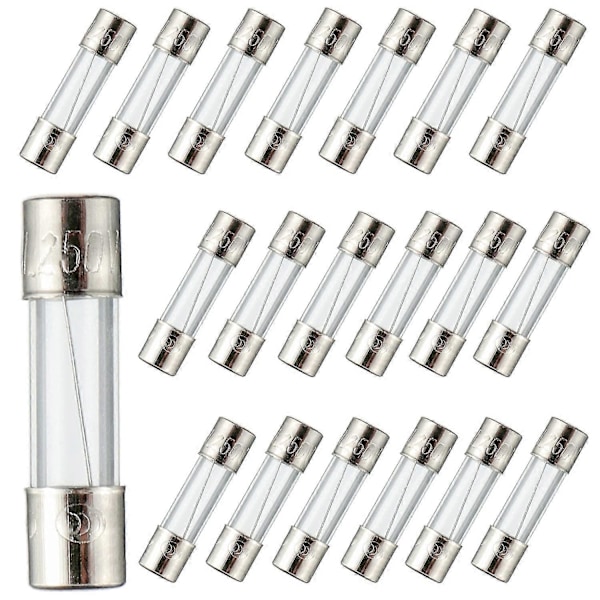 F10al250v 5x20 Mm 10a 250v Hurtige Sikringer 10 Ampere 250 Volt 0,2 X 0,78 Tommer Glasrørssikringer (pakke med 20 stk.)