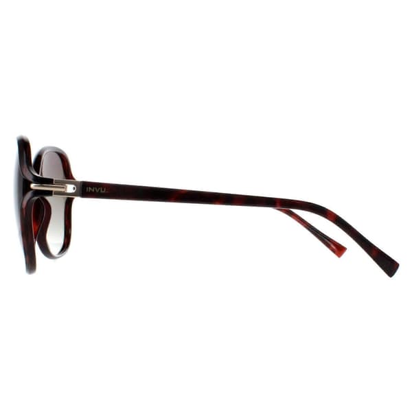 Solbriller B2114 B Varm Demi Brun Tortoise Brun Polariserede