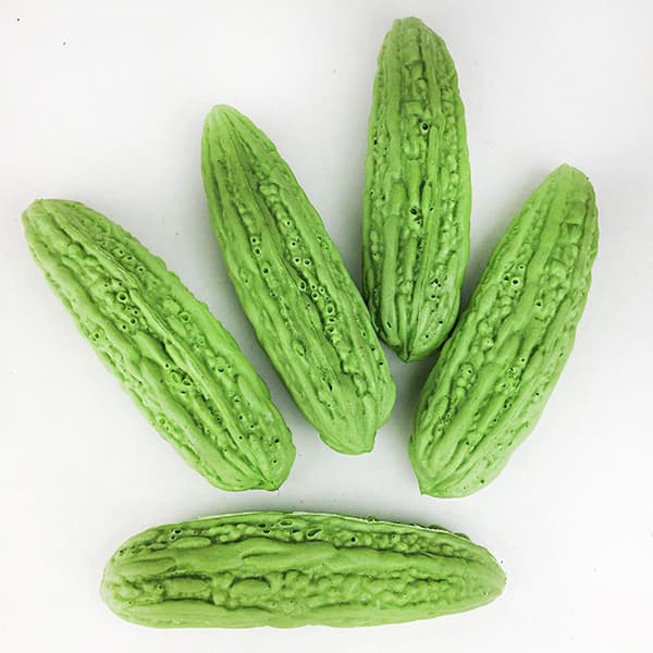 Simulerad Bitter Melon Realistisk Grönsak för Fruktbutiker Trädgårdsfester
