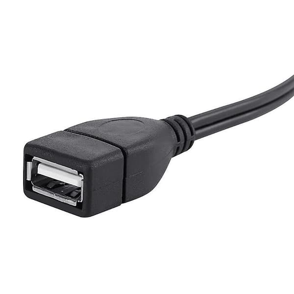 1,5 m USB A-honut till 2 RCA-hanljud- och videoförlängningskabel