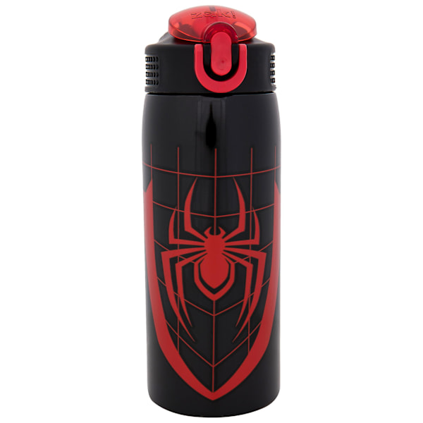 Miles Morales Drak 19oz Rustfritt Stål Dobbel Vegget Vannflaske