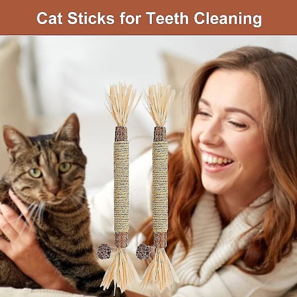 Kattmynta Stick, Tuggstickor För Katter, 2 Stycken Tandkatter, Kattgräs