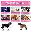 Høreværn til hunde med lyddæmpning og beroligende effekt - til brug som høreværn ved svømning