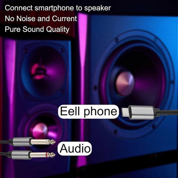 USB C til Dobbelt 6,35 mm 1/4\" Stereo Splitter Y-kabel Sort o Ledning 1m/3,3ft