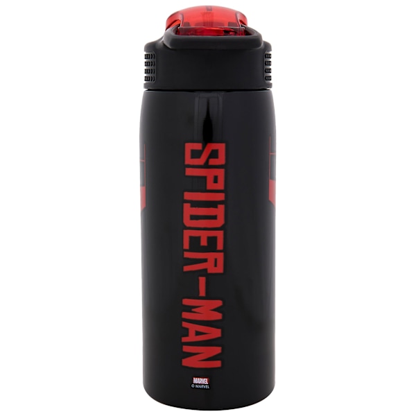 Miles Morales Drag 19oz Rustfri Stål Dobbeltvægget Vandflaske