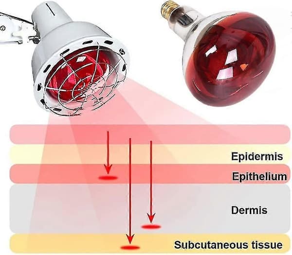 Fysioterapia Infrapunalampi 275w Elektromagneettinen Aaltohoitolaite 220v Sähköuuni Punainen Lamppu