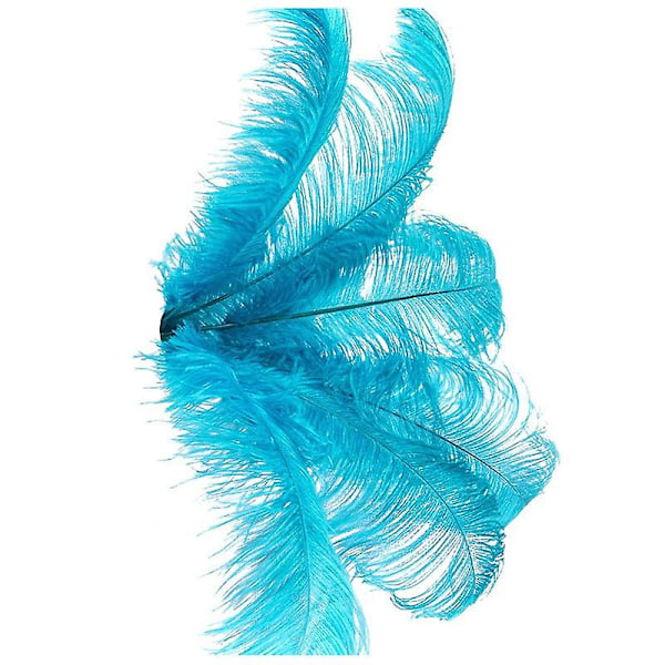 10 kpl Luonnollisia Strutsuittia Hääjuhlan Koristeluun Järvi Sininen 20-25cm