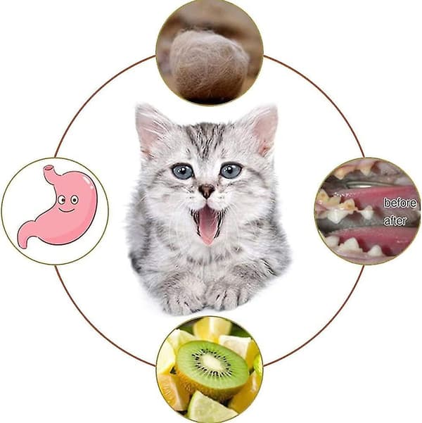 Kattegræs Sticks, Tyggepinde Til Katte, 2 Stykker Tandkatte, Kattegræs