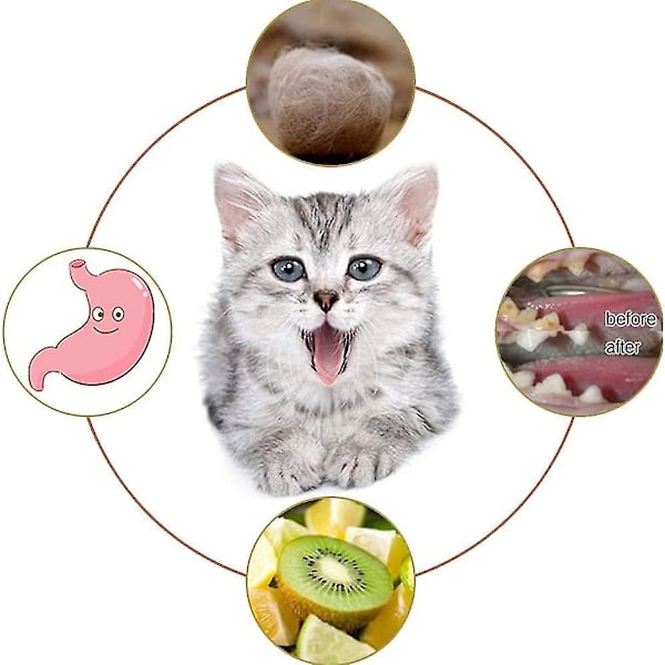 Kattmynta Stick, Tuggstickor För Katter, 2 Stycken Tandkatter, Kattgräs