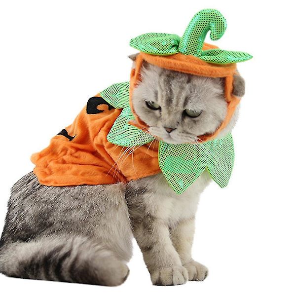 Lemmikin Halloween-Pumppukostyymi, Halloween-Pumppufestivaalikostyymi