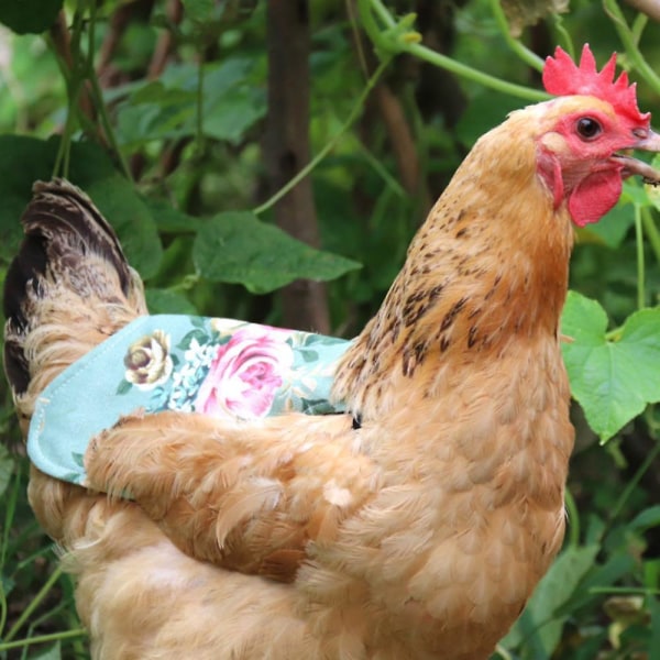 5 st Kycklingsadlar Hönsförkläden flerfärgad