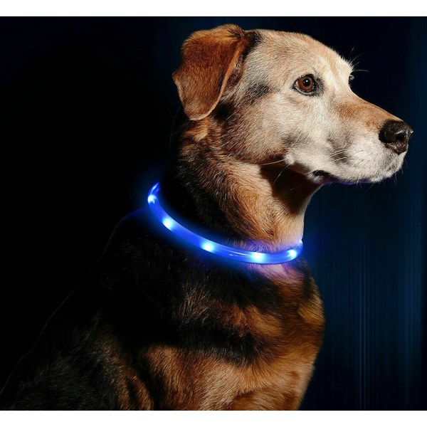 USB-laddningsbar LED-hundhalsband blinkande storlek justerbar säkerhetsljus Blue 30cm