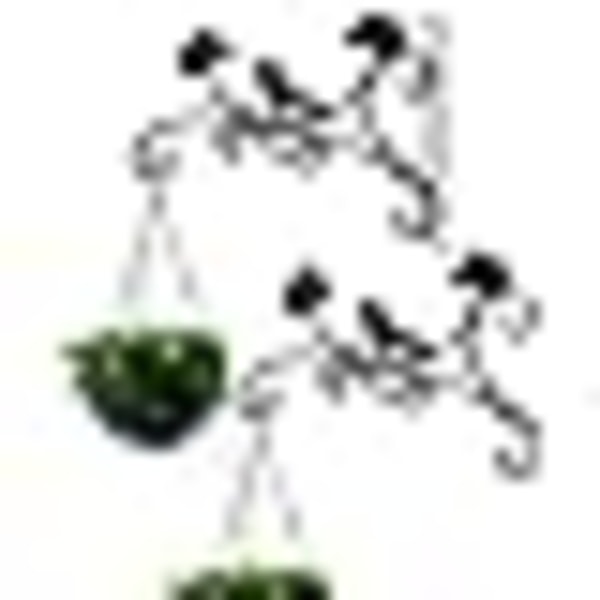 Hängande korgfästen Väggplantkrokar Järnväxt Hängkrokar Väggfästen för blomkruka fågelmatare svart