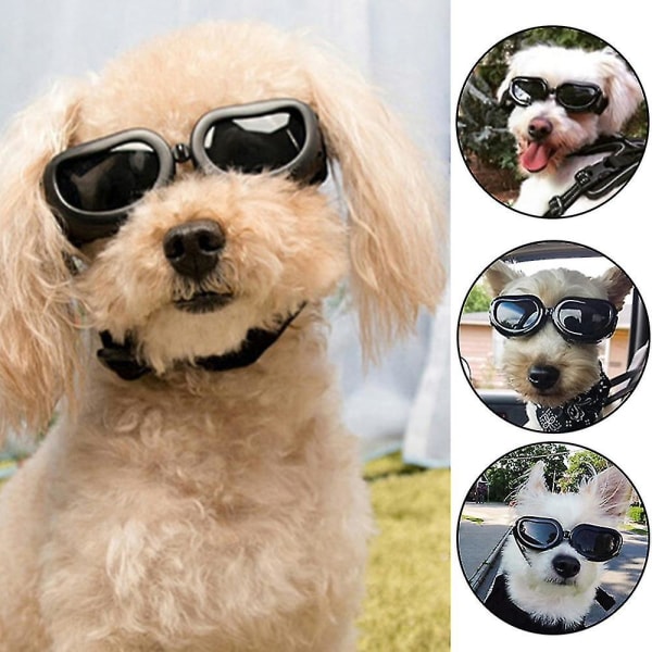 Husdjursglasögon Katt Små hundar Vindtäta solglasögon Uv-skydd Valpsolglasögon svart