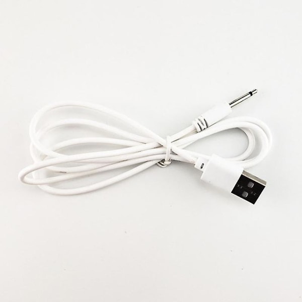 USB Dc 2.5 Vibratorladdarekabel för laddningsbara vuxenleksaker Vibratorer Superb vit