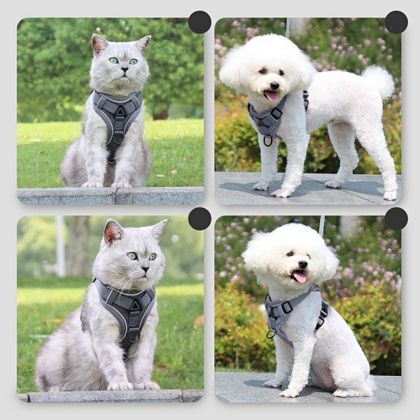 Sele och koppel set för husdjur, andningsbar justerbar hundsele för små hundar och katter Gray S