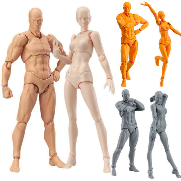 Teckning Figurer Rörlig Människokonstnär Action Modell Skyltdocka Man/Kvinna Anime Kropp Skin color Woman