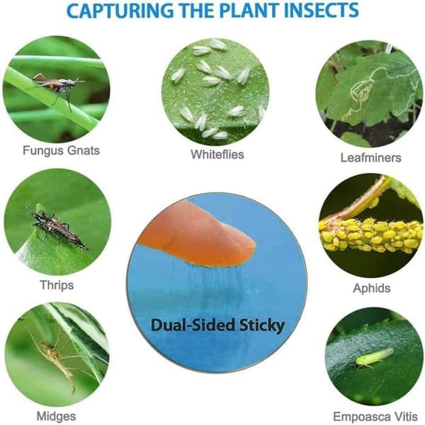 40 st insektsfällor, dubbelsidiga klibbiga fällor, insektsfällor, blå dubbelsidig flugfälla, blått anti-insekts papper