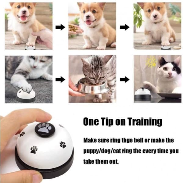 Träningsklocka Hund / Katt Vit