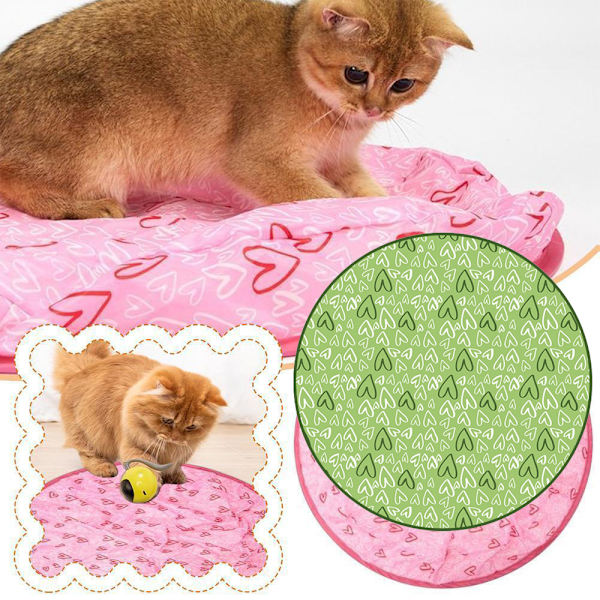 2 i 1 Simulerad Interaktiv Jakt Huva Katt Träning Leksaker Pink
