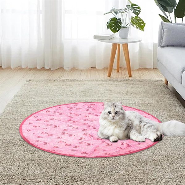 2 i 1 Simulerad Interaktiv Jakt Huva Katt Träning Leksaker Pink