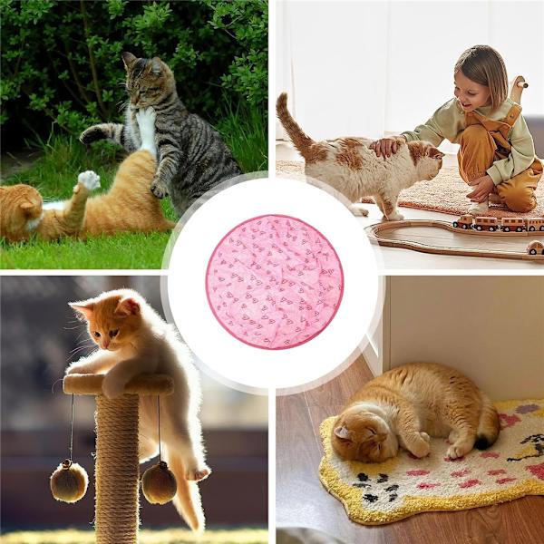 2 i 1 Simulerad Interaktiv Jakt Huva Katt Träning Leksaker Pink