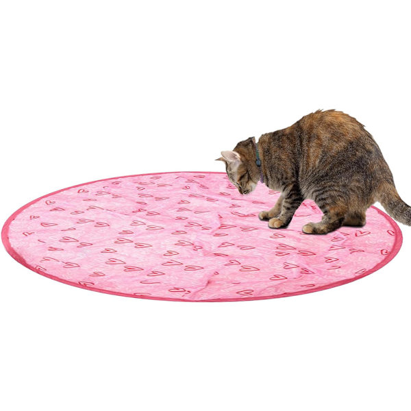 2 i 1 Simulerad Interaktiv Jakt Huva Katt Träning Leksaker Pink