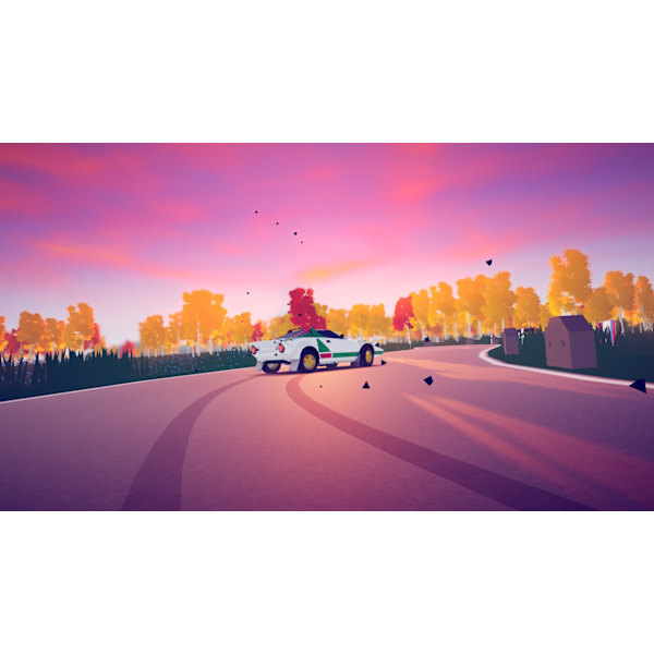 Art of Rally Deluxe Edition Playstation 5