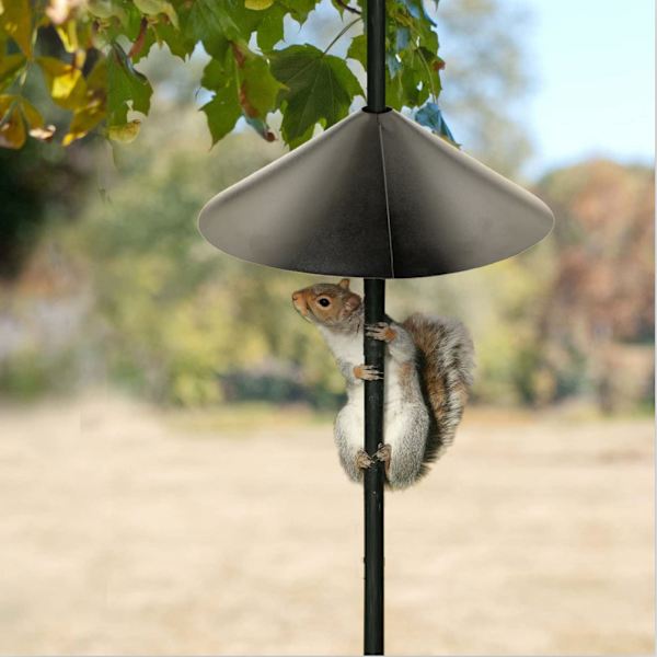 Uppgradera Wrap Around Squirrel Baffles Proof Bird Feeders and Poles, Out