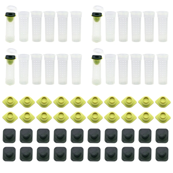 24-pack Biuppfödningskopp Kit - Drottningbi Rullbur Biodling Utrustning Insekter Verktyg, 7.6*2.6cm