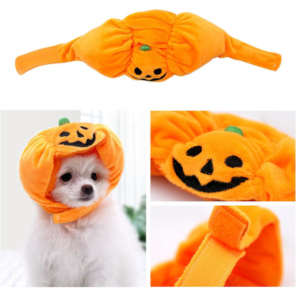 Katt Hodeplagg, Kjæledyr Halloween Gresskar Lue Holdbar Hudvennlig Nydelig Pustende med Justerbar Rem for Katt for Fester for Thanksgiving